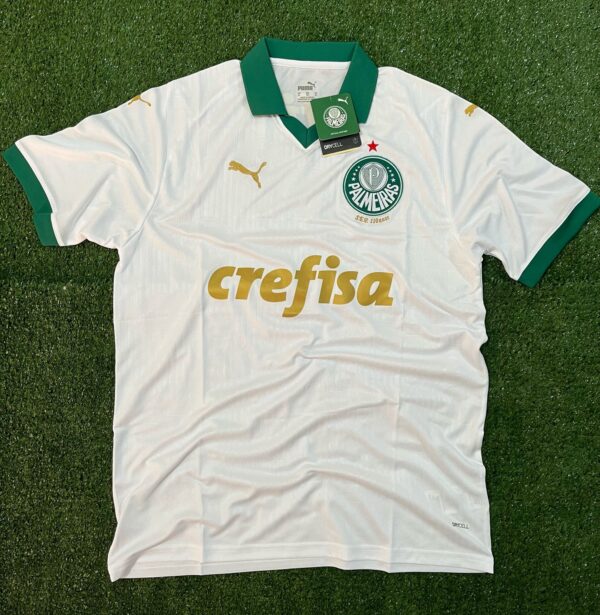 Camisa Palmeiras Away 24/25